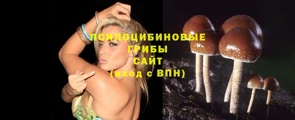 мяу мяу мука Сатка