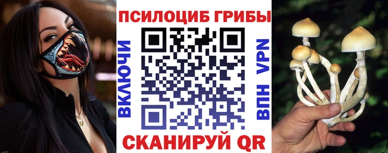 Псилоцибиновые грибы ЛСД  магазин продажи   KRAKEN tor  мориарти Telegram  Медвежьегорск 