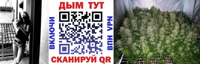 Шишки марихуана гибрид  дарнет шоп  Медвежьегорск 